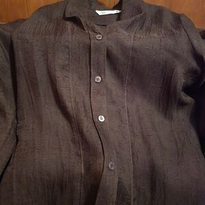 Zara Women's Semi Sheer Brown Button Down Shirt